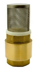 Brass Vertical Spring-Assisted Check Valve (Foot Valve)