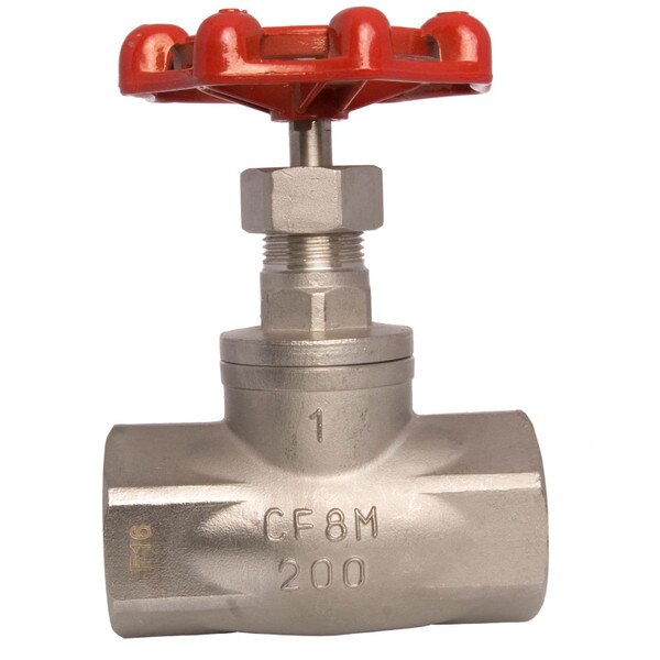 Stainless Steel (316) Globe Valve - 200 WOG, FxF NPT