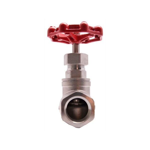 Stainless Steel (316) Globe Valve - 200 WOG, FxF NPT